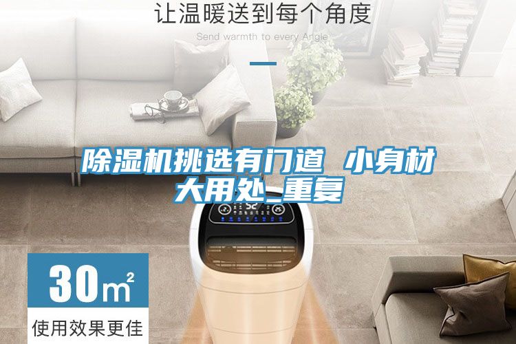 好色先生在线播放挑選有門道 小身材大用處_重複