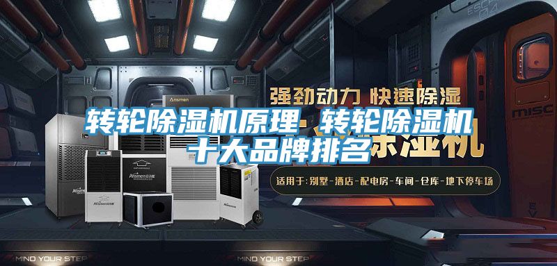 轉輪好色先生在线播放原理 轉輪好色先生在线播放十大品牌排名