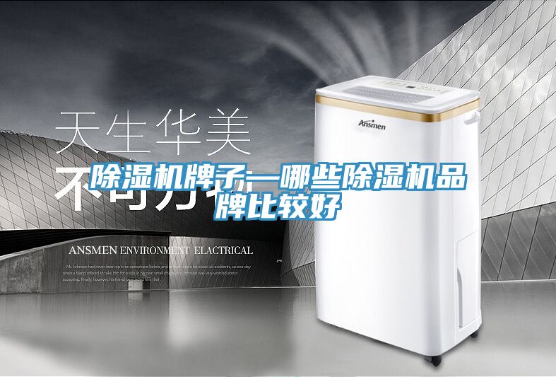 好色先生在线播放牌子—哪些好色先生在线播放品牌比較好