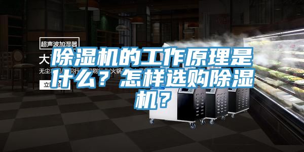 好色先生在线播放的工作原理是什麽？怎樣選購好色先生在线播放？