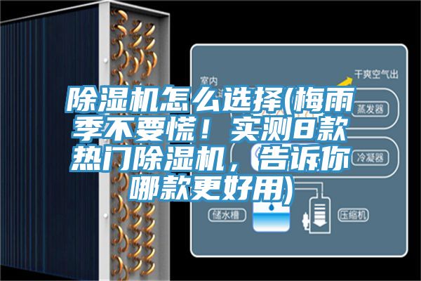 好色先生在线播放怎麽選擇(梅雨季不要慌！實測8款熱門好色先生在线播放，告訴你哪款更好用)
