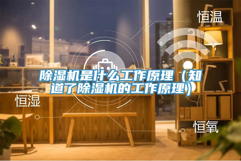 好色先生在线播放是什麽工作原理（知道了好色先生在线播放的工作原理）