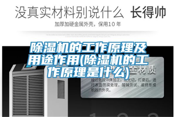 好色先生在线播放的工作原理及用途作用(好色先生在线播放的工作原理是什麽)