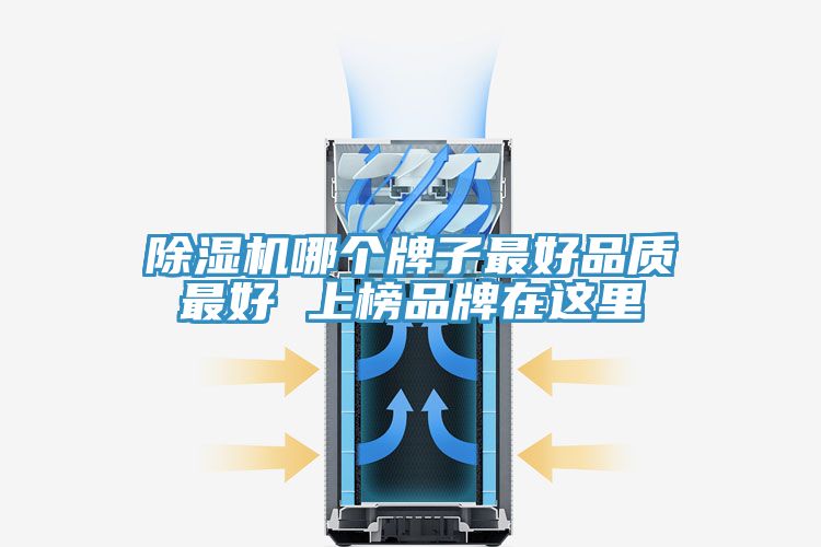 好色先生在线播放哪個牌子最好品質最好 上榜品牌在這裏