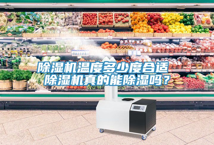 好色先生在线播放溫度多少度合適 好色先生在线播放真的能除濕嗎？