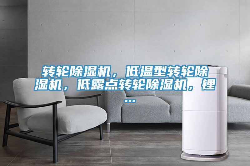 轉輪好色先生在线播放，低溫型轉輪好色先生在线播放，低露點轉輪好色先生在线播放，鋰 ...