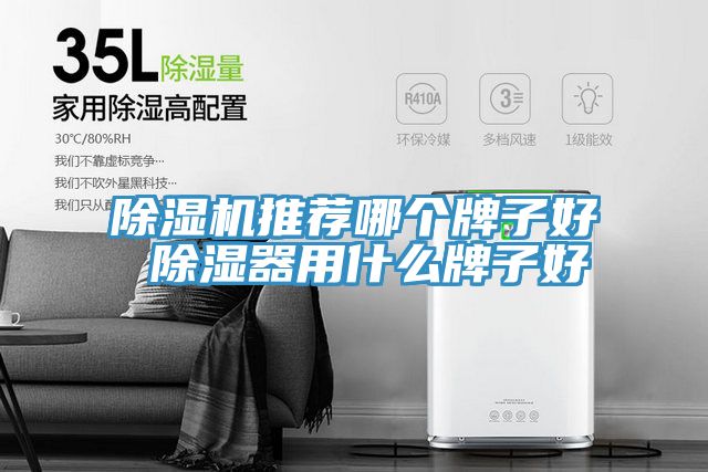 好色先生在线播放推薦哪個牌子好 除濕器用什麽牌子好