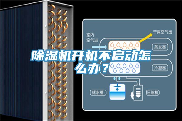 好色先生在线播放開機不啟動怎麽辦？