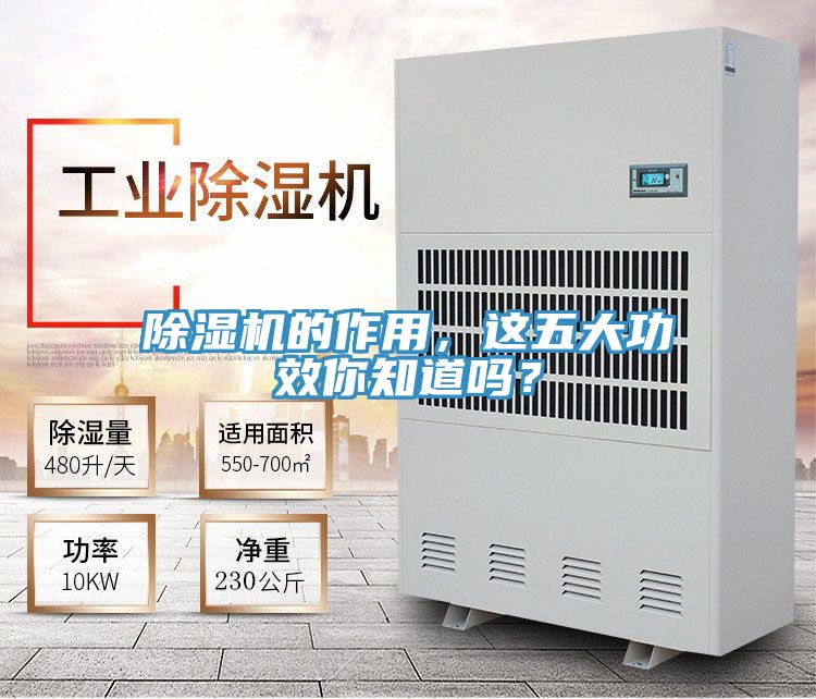 好色先生在线播放的作用，這五大功效你知道嗎？