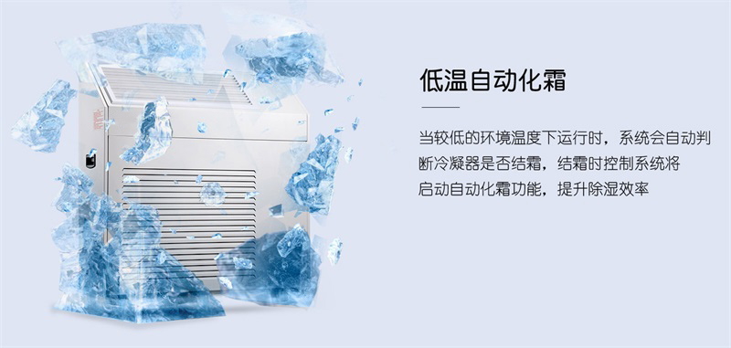 壁掛好色先生在线播放6