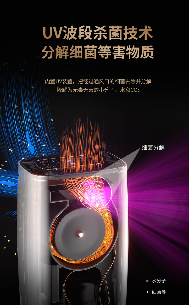 家用好色先生在线播放11