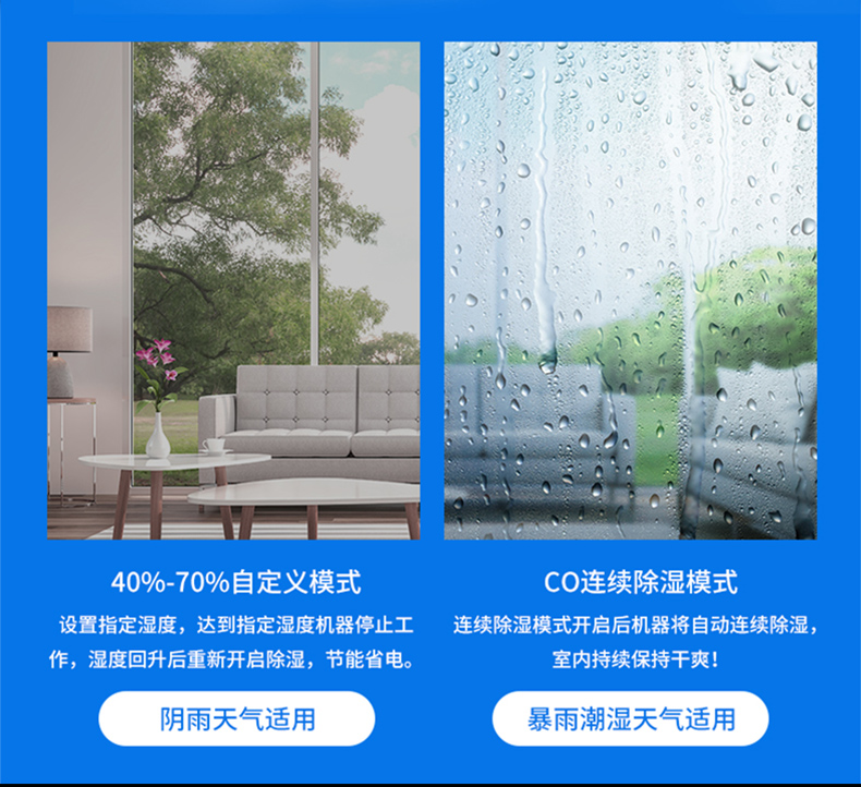 家用好色先生在线播放11