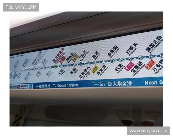 杭州羽毛球队运营模式解析与发展趋势探讨